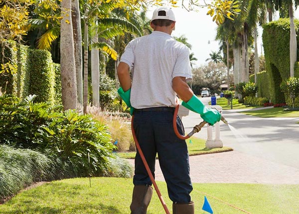 About Arlington KS Pest Control